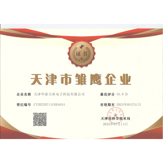 雛鷹.jpg