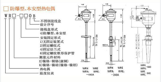 防爆本安熱電阻結(jié)構(gòu) 防爆本安熱電阻結(jié)構(gòu)